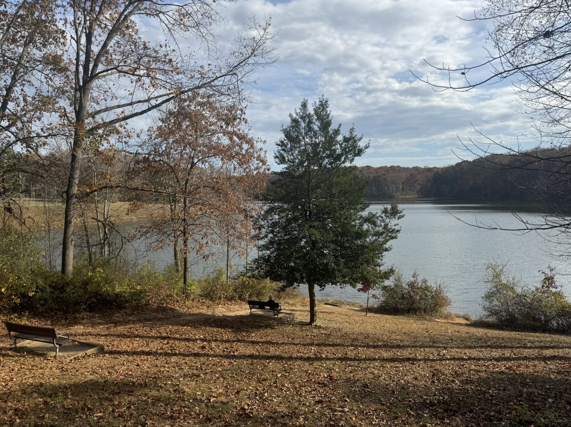 A Local’s Guide to Germantown, MD: Best Hidden Gems and Attractions