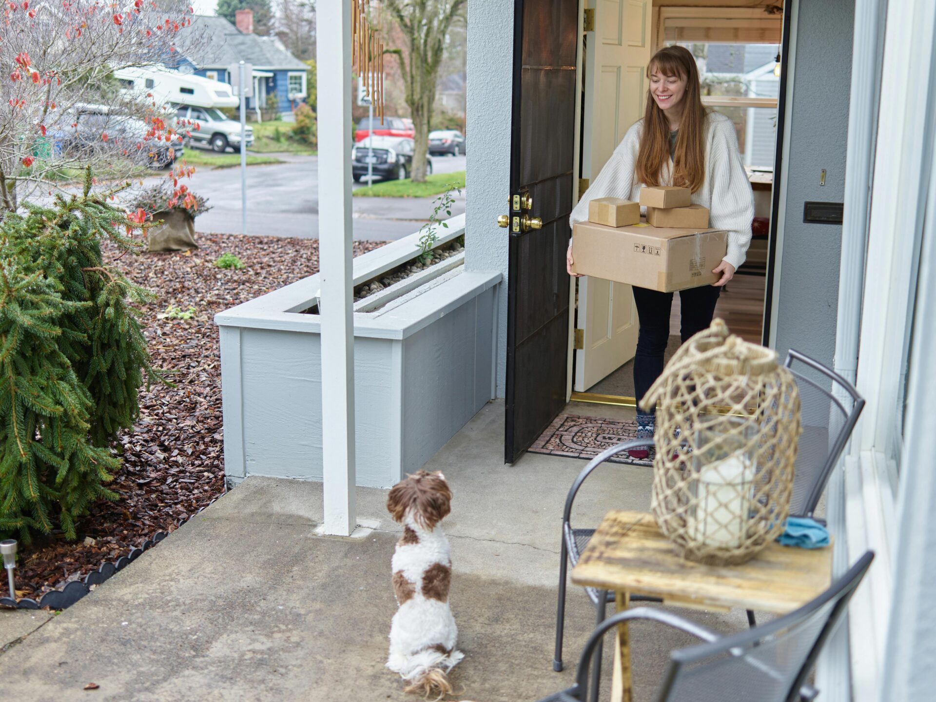 Moving with Pets to Fairfax, VA: Essential Tips for a Smooth Transition