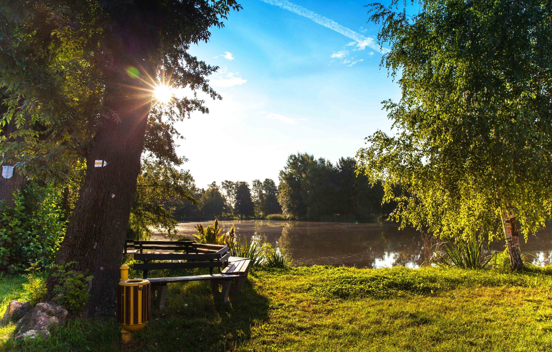 Best Outdoor Activities in Germantown, MD: Hiking, Nature Walks, and Family Fun
