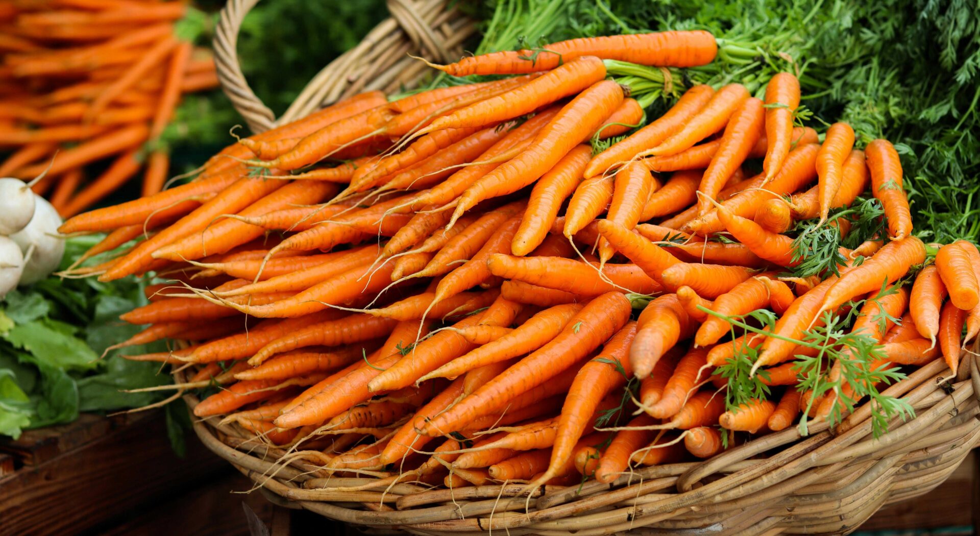 Best Farmer’s Markets Near Your New Home in Virginia