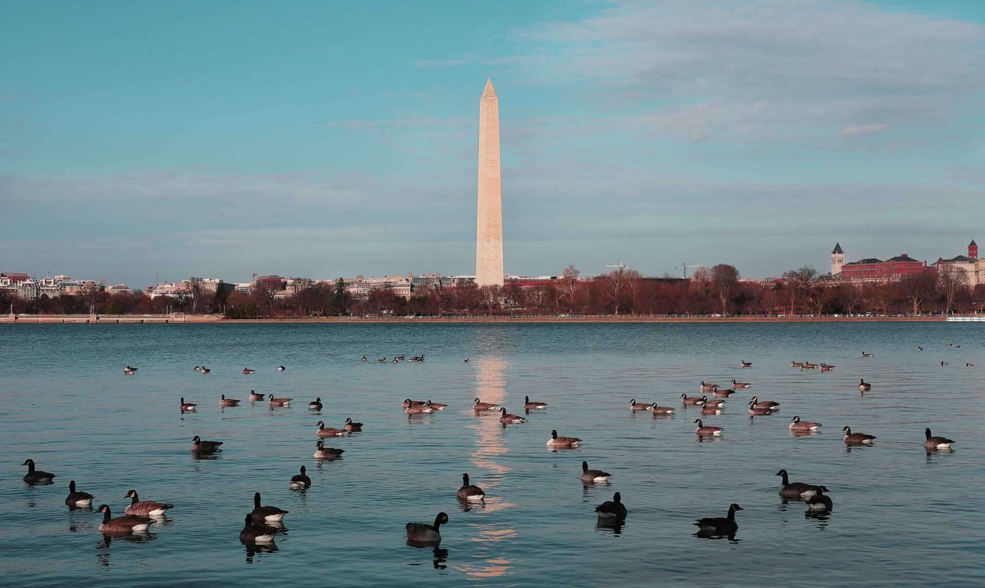Best Summer Neighborhoods to Move Into in Washington D.C. – Your 2025 Relocation Guide